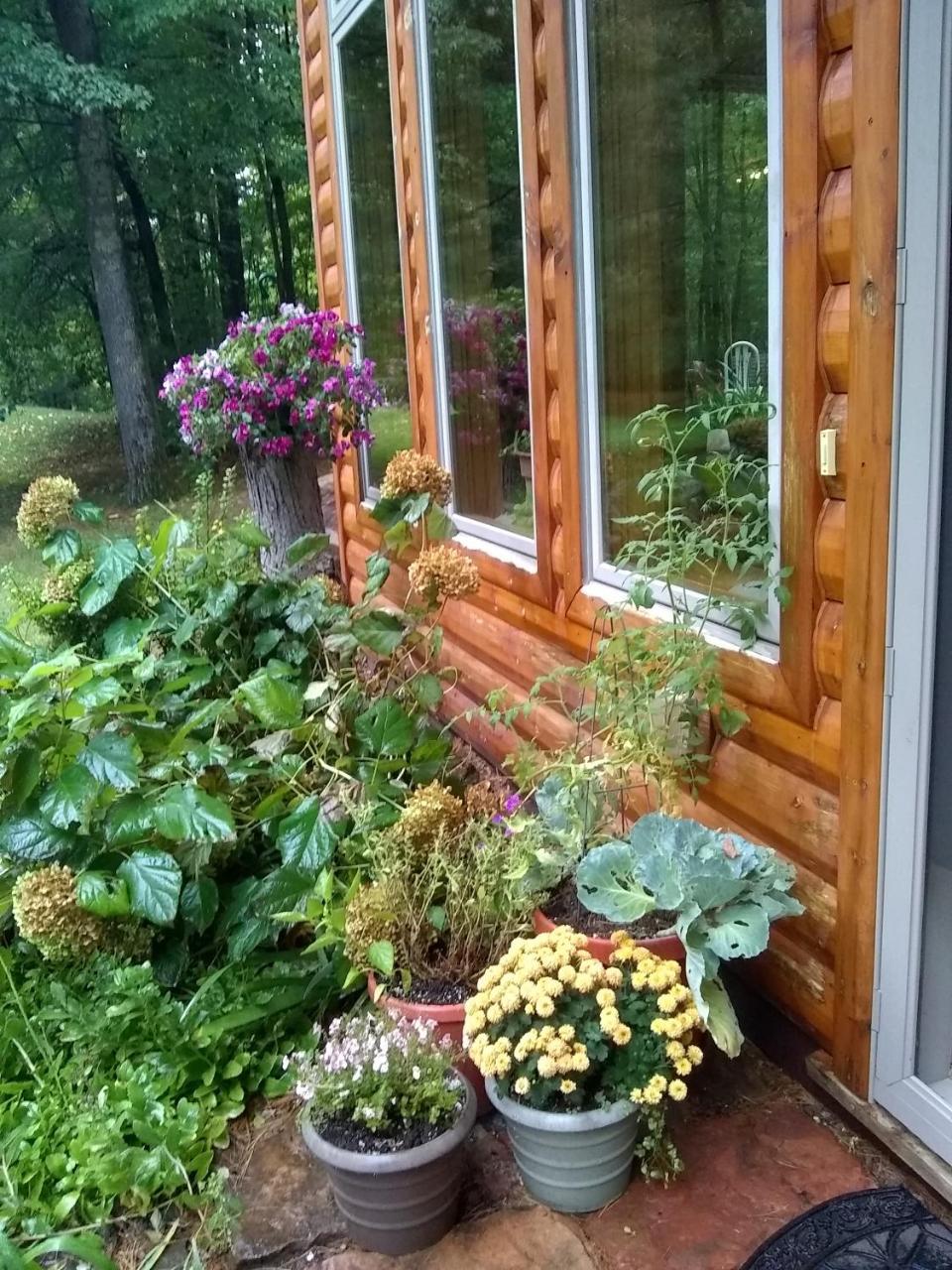 Bed And Breakfast Suite At The Wooded Retreat Pine City Eksteriør billede