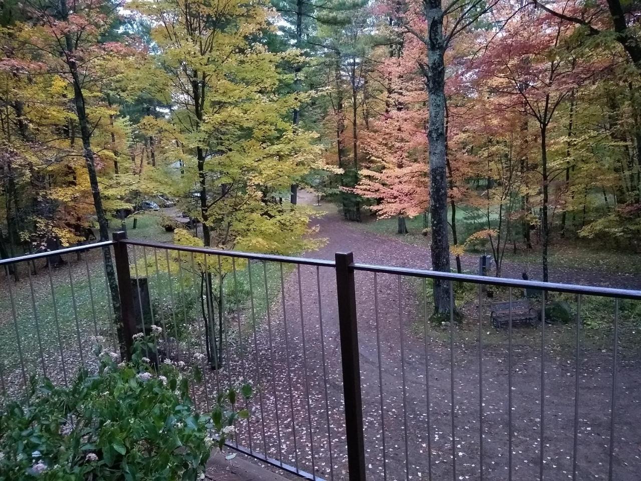 Bed And Breakfast Suite At The Wooded Retreat Pine City Eksteriør billede